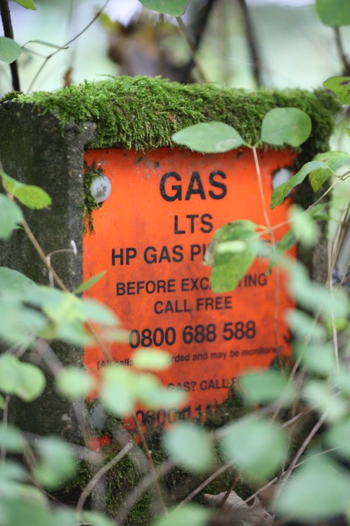 Overgrown Natural Gas Pipeline Sign